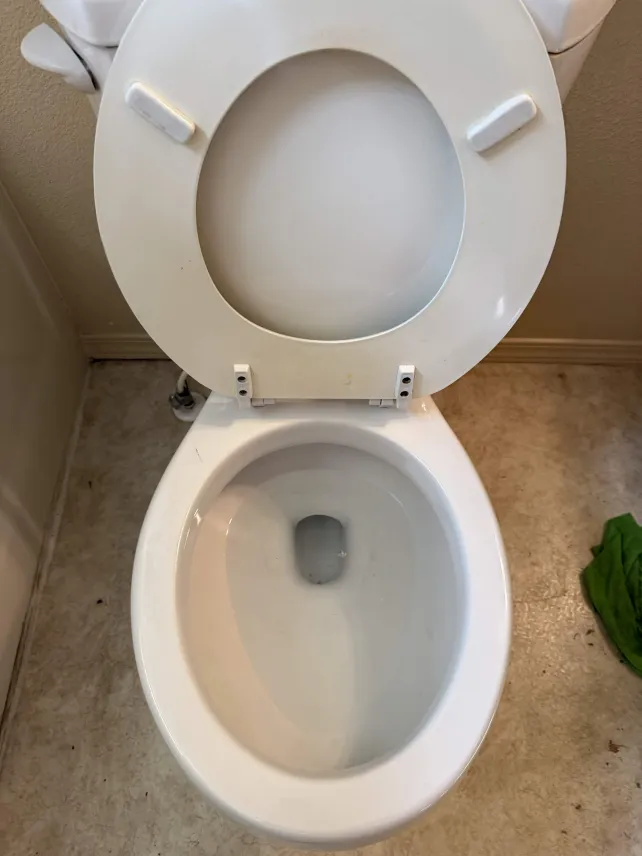 Toilet Deep Clean — After
