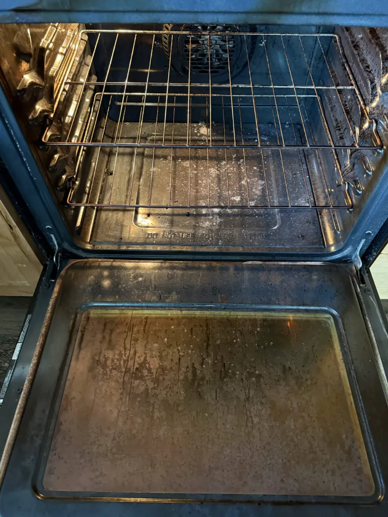 Oven Racks & Glass Door — Before