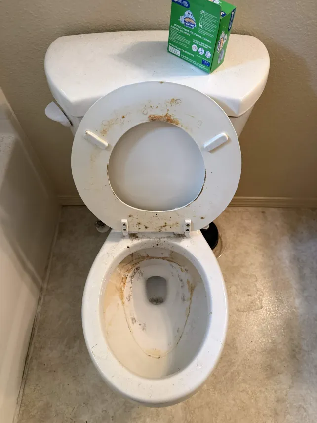 Toilet Deep Clean — Before