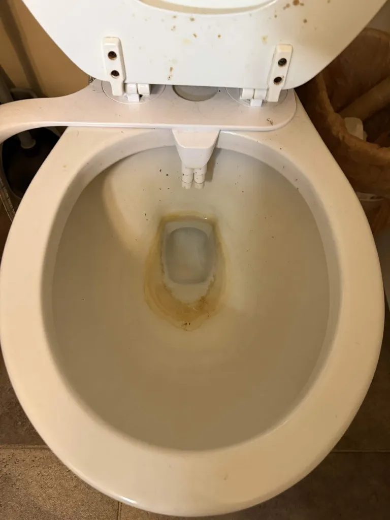 Toilet Bowl Restoration — Before