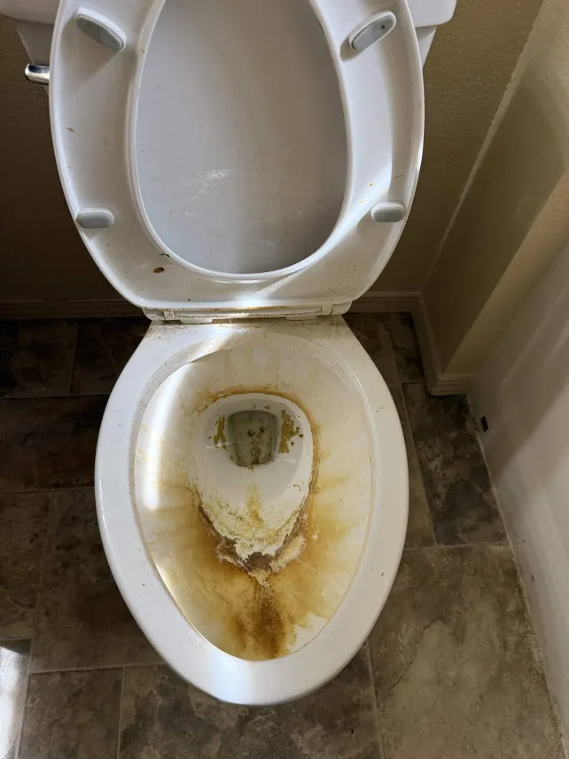 Toilet Rust & Stain Removal — Before